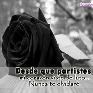 Meet your Posher, Sarai